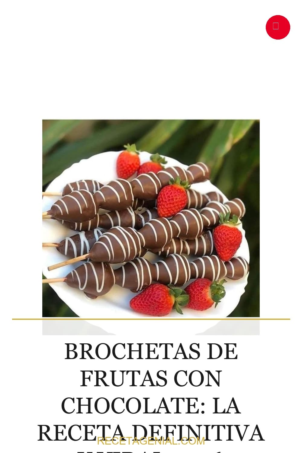 Receta de Brochetas de Frutas con Chocolate: El Postre Saludable Definitivo preparada paso a paso — fotografía editorial de RecetaDolce